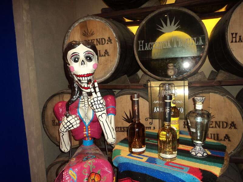 Los Cabos: San Jose and San Lucas Trip with Lunch - Final Thoughts