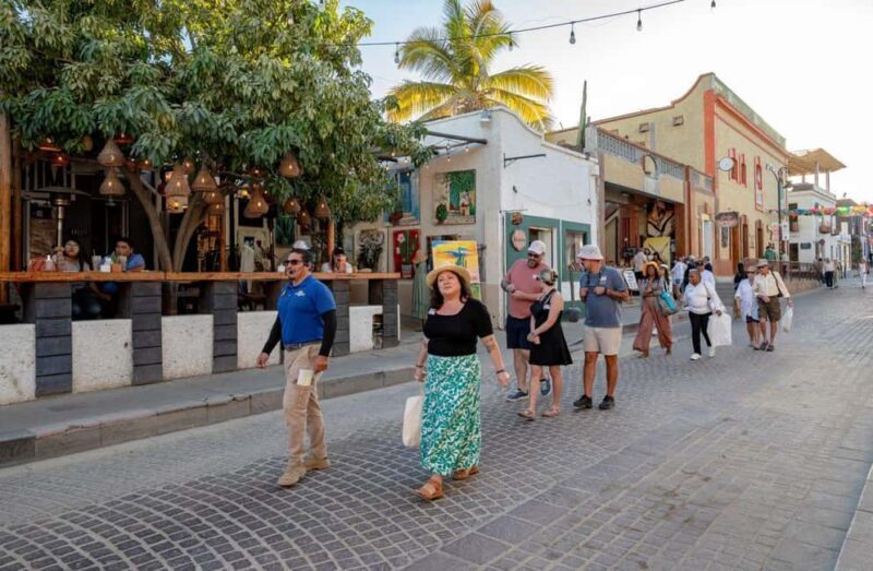 Los Cabos: San Jose del Cabo Art Walk and Beer Tasting Tour - Who Will Love This Tour?