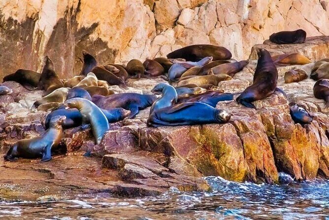 Los Cabos Sightseeing and Cultural Day Trip with Boat Ride - FAQ
