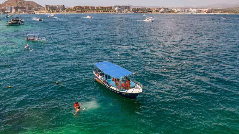 Los Cabos: Snorkel and Marine Life - Key Points