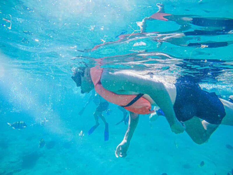 Los Cabos: Snorkeling Cruise with Lunch - The Value and Who It’s Best For