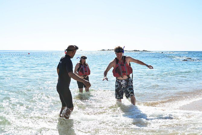 Los Cabos Snorkeling Tour to Chileno Bay and Santa Maria Cove - The Sum Up