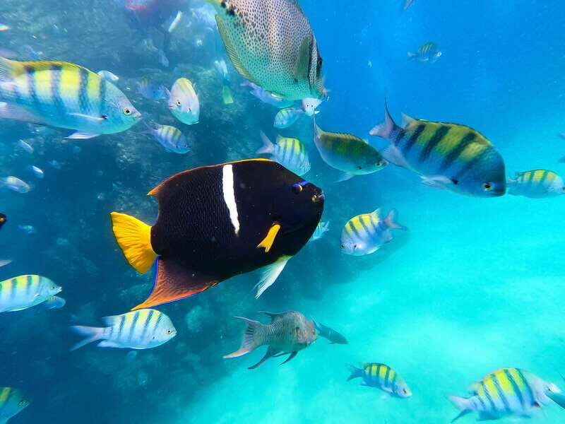 Los Cabos: SUP to The Arch & Snorkel + Transport & Photos - What Could Be Better?