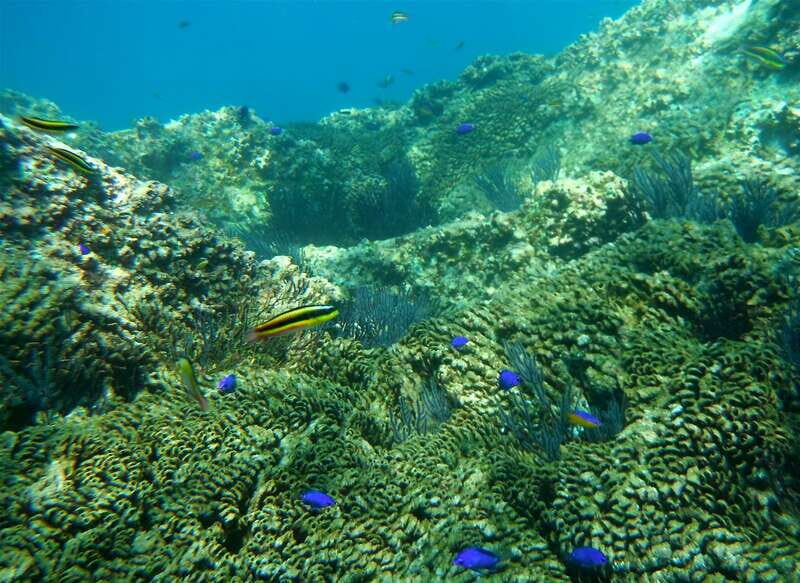 Los Cabos: The Arch and Lover's Beach Kayaking + Snorkeling - Key Points