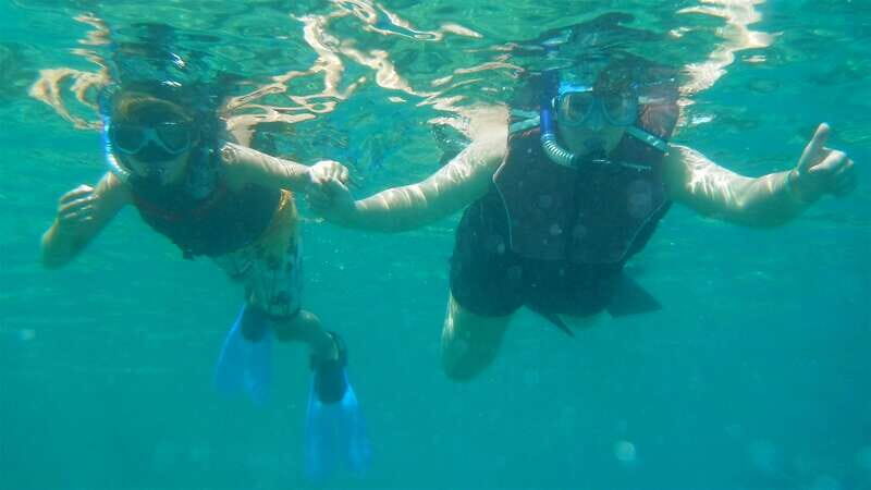 Los Cabos: The Arch and Lover's Beach Kayaking + Snorkeling - Snorkeling in the Vibrant Marine Environment