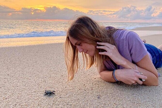 Los Cabos turtle release conservation program - FAQ