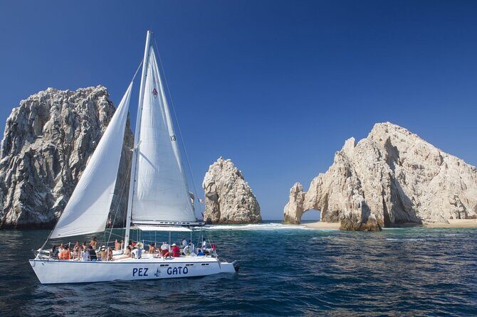 Los Cabos Whale Watching Adventure with Snacks and Drinks - FAQ