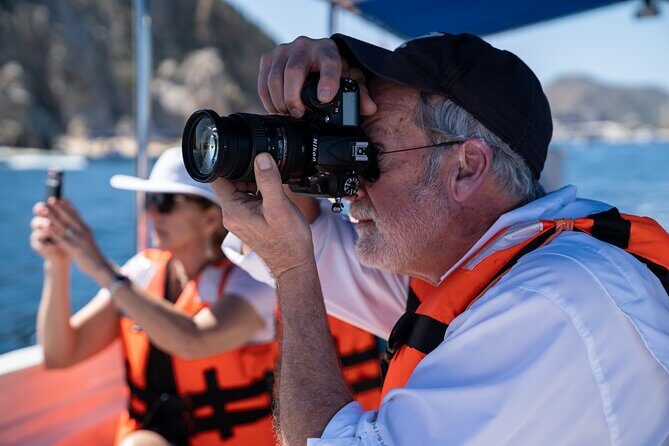 Los Cabos Whale Watching (Transportation and Pictures Included) - The Experience in Detail