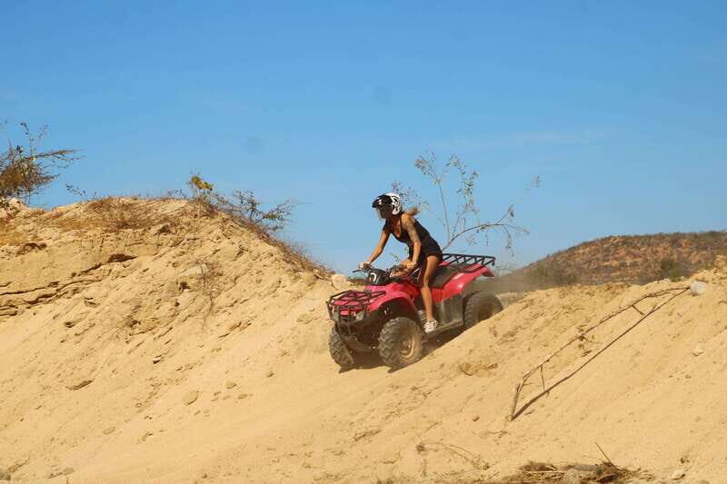 Los cabos:ATV beach&desert with transfer & tequila tasting - Price and Value Analysis