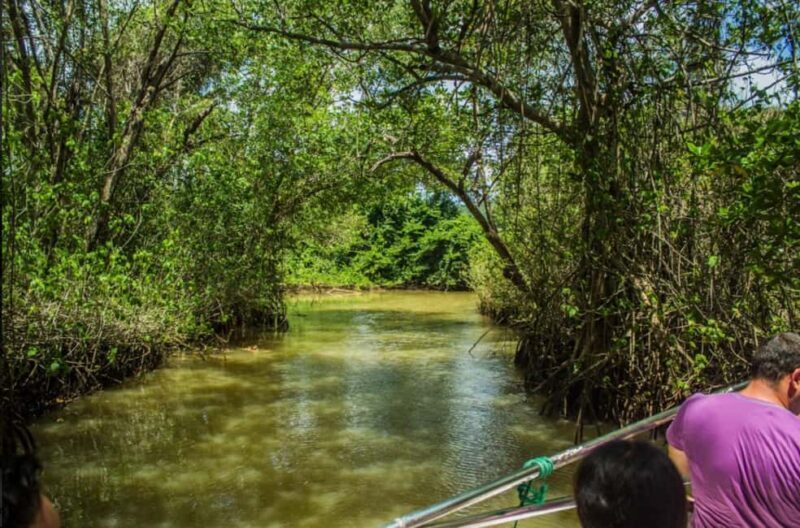 Los Haitises Boat Ride + Caño Hondo Natural Pools - Key Points