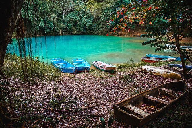 Los Haitises & Cayo Levantado (Lunch included, from Samana in Catamaran or Boat) - Introduction