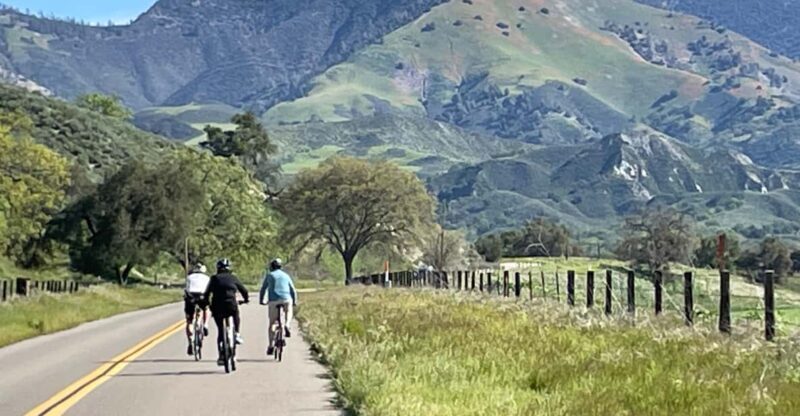 Los Olivos: E-Bike Tour + Vineyard Lunch w/Wine Tasting - The Itinerary: What to Expect on This 4-Hour Tour