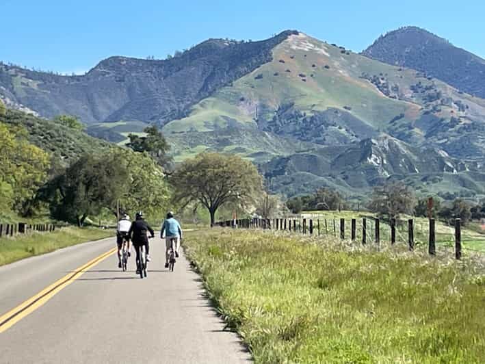 Los Olivos: E-Bike Tour + Vineyard Lunch w/Wine Tasting - Why This Tour Works Well
