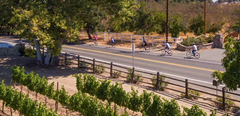 Los Olivos: E-Bike Tour + Vineyard Lunch w/Wine Tasting - Summary of the Experience