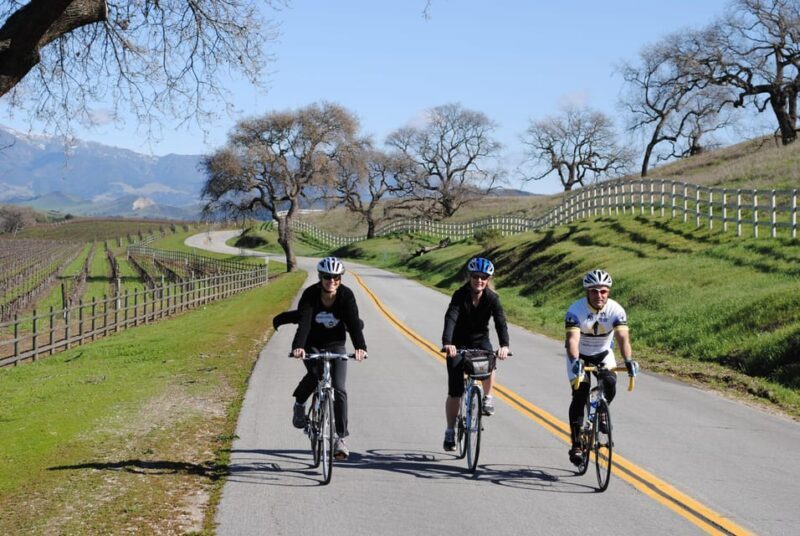 Los Olivos: E-Bike Tour + Vineyard Lunch w/Wine Tasting - Final Thoughts