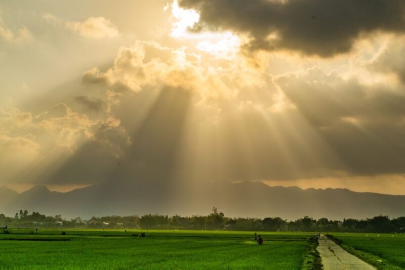 Lost Civilization - My Son Temples Bike Tour in Hoi An - Key Points