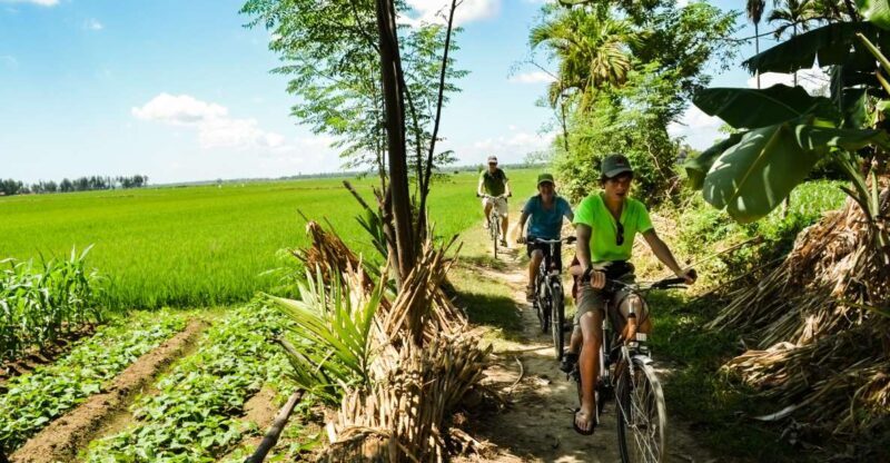 Lost Civilization - My Son Temples Bike Tour in Hoi An - Final Thoughts