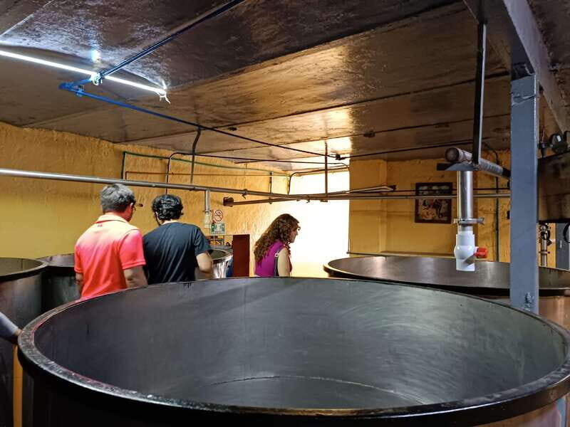 Lots of party: Have fun at "La Aguirreña" factory - The Sum Up