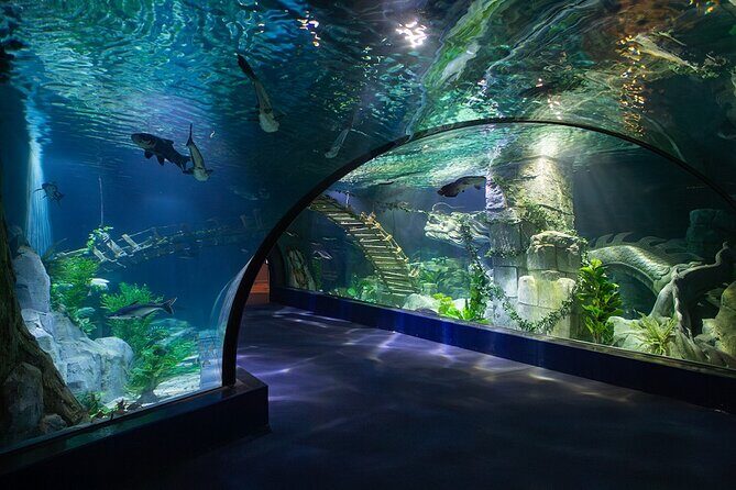 Lotte World Aquarium Hanoi Admission Ticket - The Practicalities: What You Need to Know