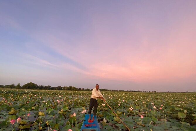 Lotus Silk Farm: Amazing craft classes & boat trip to lotus field - The Sum Up