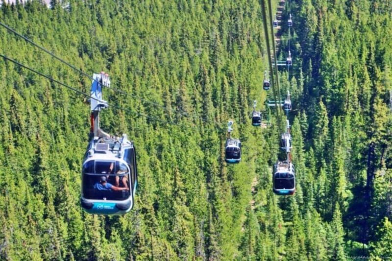 Louise Louise, Banff Gondola, Minnewanka & Emerald Lakes - Key Points