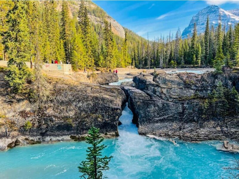 Louise, Moraine/Bow, Emerald, Peyto- 4 Lake Tour - Discover the Beauty of the Canadian Rockies in a Day