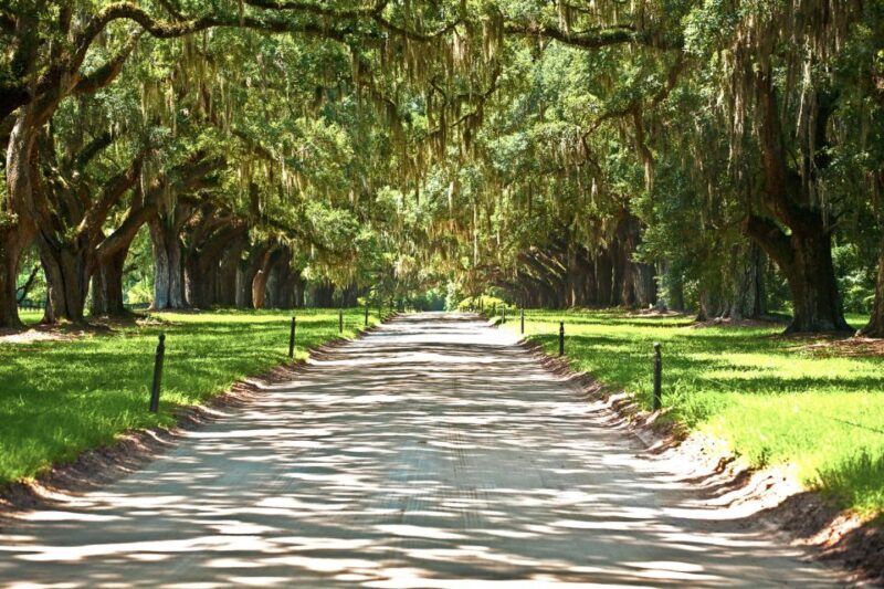 Louisiana: Laura, Oak Alley, or Whitney Plantation Tours - Final Thoughts