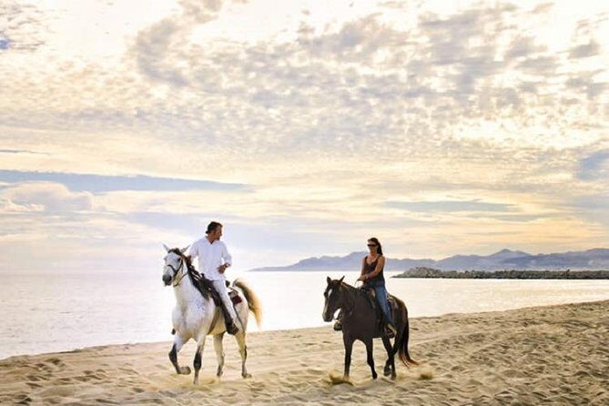 Love is in the air! Private horseback ride on the beach and sunset dinner! - Who Would Love This Tour?