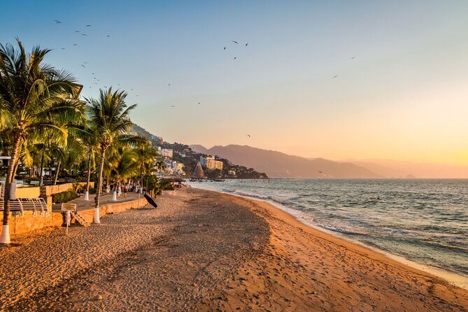 Love on the Boardwalk in Puerto Vallarta - Private - What This Tour Means for You