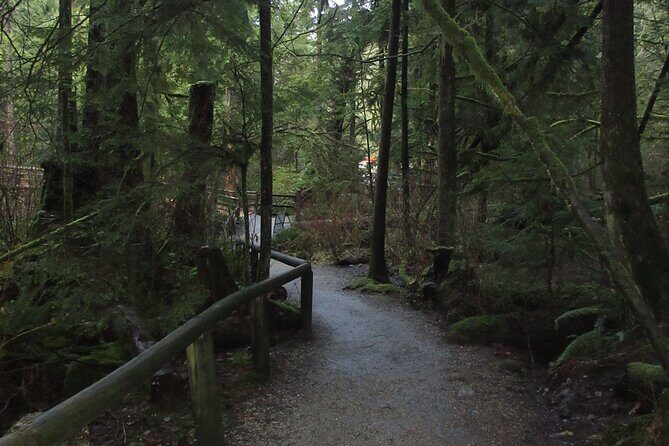 Love the Land Indigenous Walking Tour Capilano River Hatchery - Who Should Consider This Tour?
