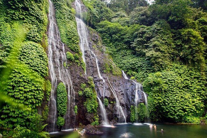 Lovina Sunrise Dolphin & Waterfall Tour - Who Should Consider This Tour?