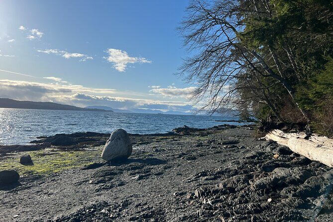 Low Tide Excursion & Totem Bight Park - FAQs