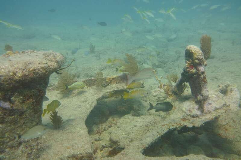 Lower Grand Lagoon: Panama City Beach Guided Snorkeling Tour - The Sum Up: Is It Worth It?
