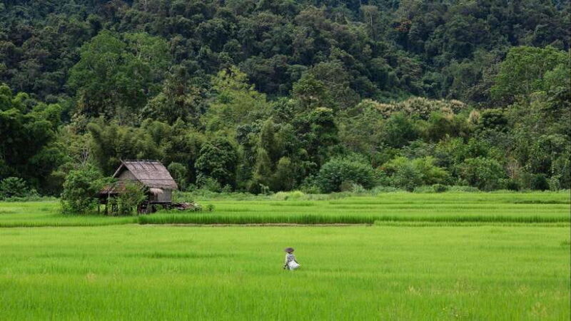 Luang Prabang: Countryside Mountain Bike Tour with Lunch - The Lunch and the Overall Experience