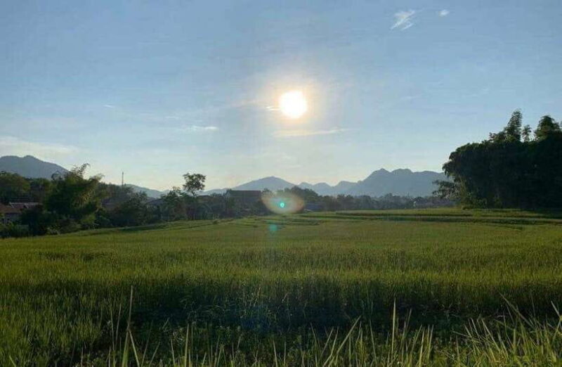 Luang Prabang: Evening Cooking Class & Local Baci Ceremony - Who Will Love This Tour?