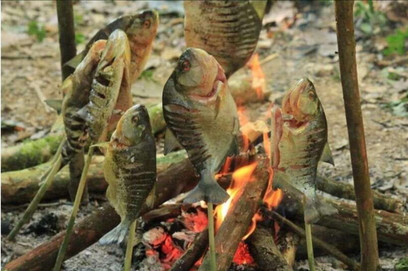 Luang Prabang: Forest Camping Experience with Cooking Class - Why This Tour Matters