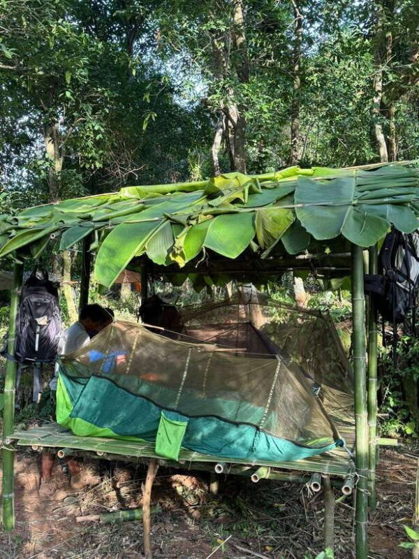 Luang Prabang: Forest Camping Experience with Cooking Class - Who Would Love This Experience?