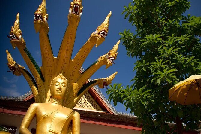 Luang Prabang Half Day City Tour - Exploring the Itinerary in Detail