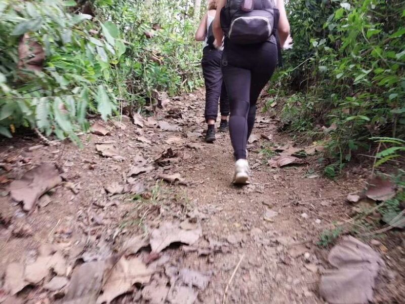 Luang Prabang: Hiking Off the Beaten Track with Picnic Lunch - Key Points