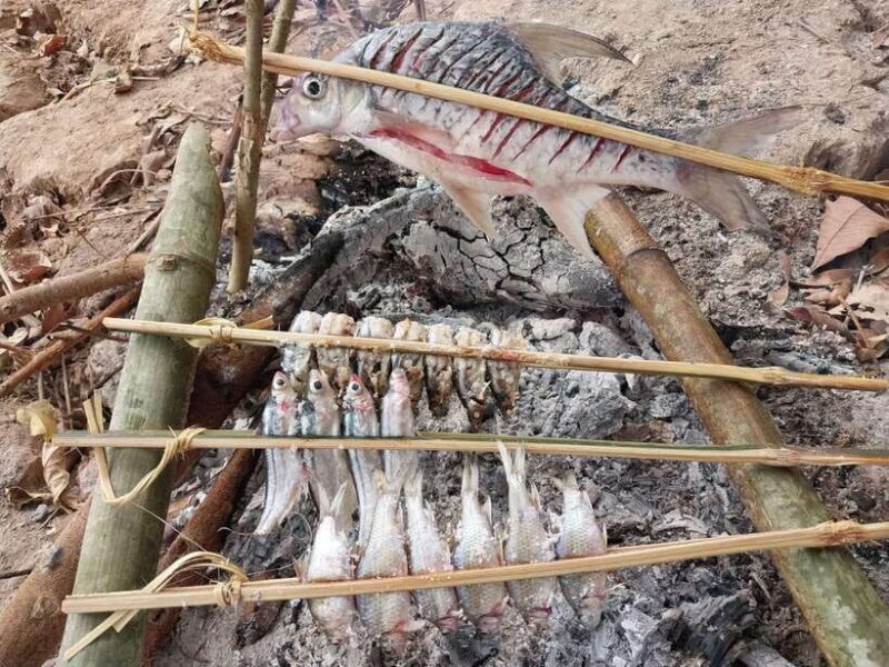 Luang Prabang: Mekong Fishing with a Local Fisherman & Lunch - An Overview of the Tour Experience