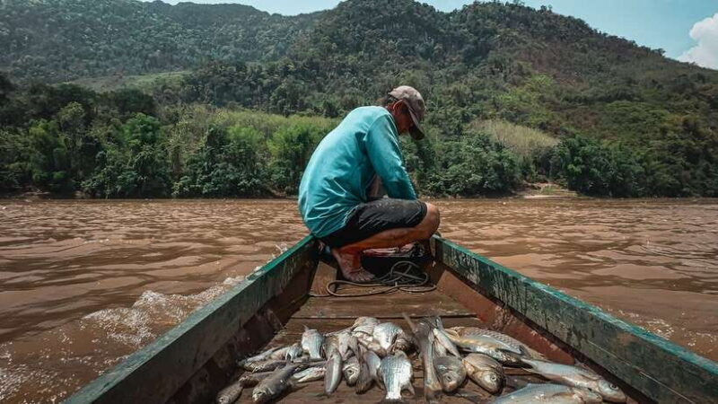 Luang Prabang: Mekong Fishing with a Local Fisherman & Lunch - Authentic and Tasty Food at the Heart of the Experience