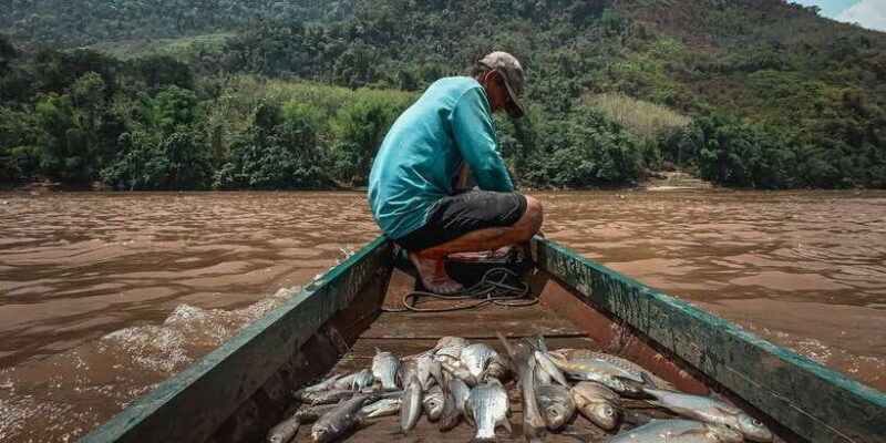 Luang Prabang: Mekong Fishing with a Local Fisherman & Lunch - Who Will Love This Tour?
