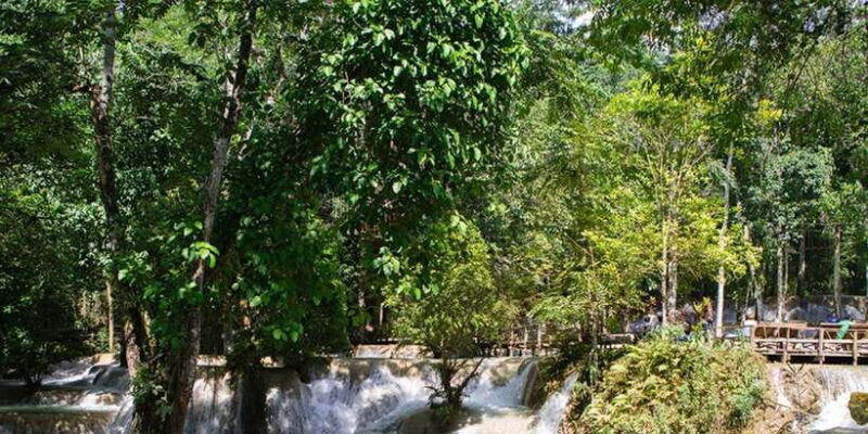 Luang Prabang Thin Pha Trail & Tad Sae Falls Trek - The Experience’s Strengths and Weaknesses in a Nutshell