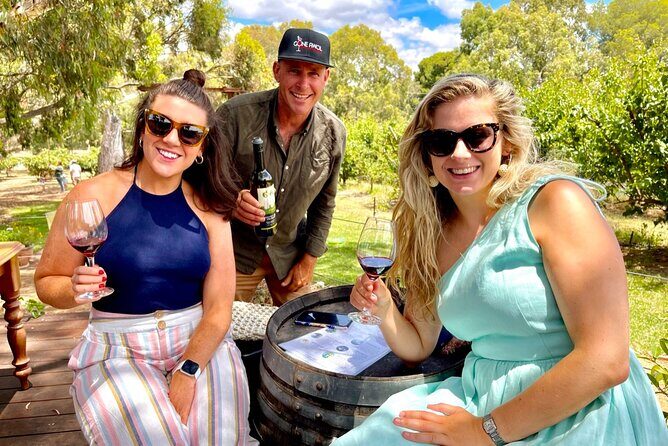 Luke's McLaren Vale Wine Tour - Exploring Lukes McLaren Vale Wine Tour: A Genuine Look