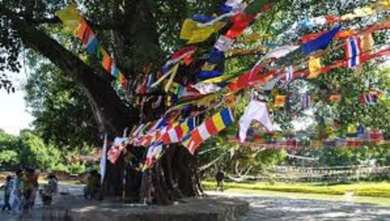 Lumbini Full day tour with Guide - Key Points