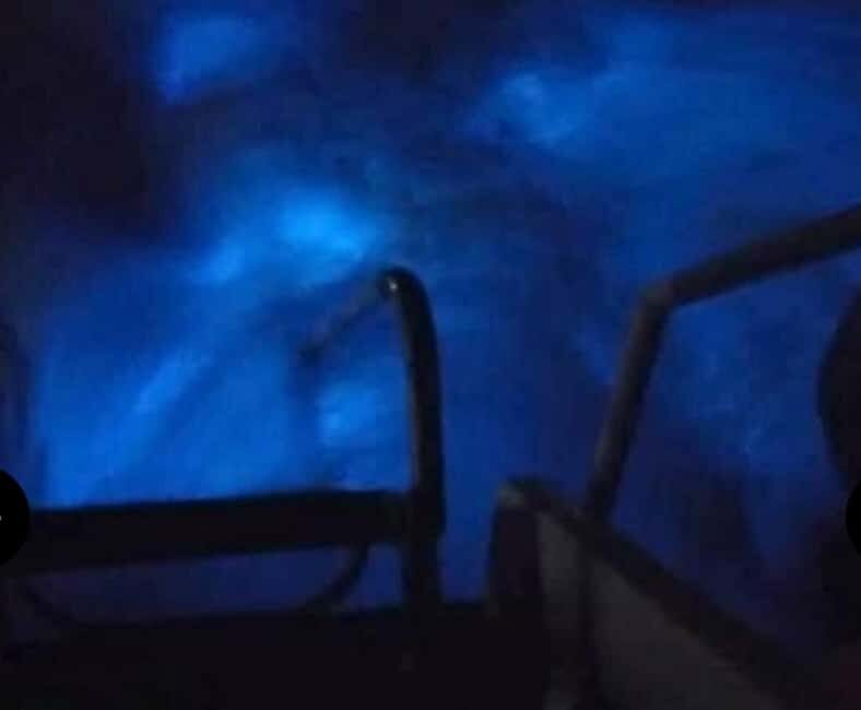 Luminous Lagoon Experience: Ocho Rios Runaway Bay & Falmouth - Who Will Love This Tour?