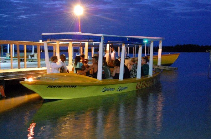 Luminous Lagoon Glow in the Dark Boat Tour from Montego Bay - Who Will Love This Tour?