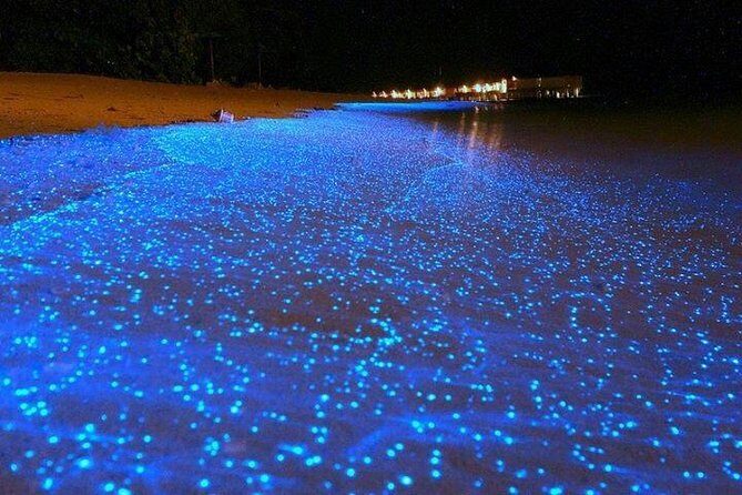 Luminous Lagoon Night-Time Tour from Montego Bay - Practical Tips for Travelers