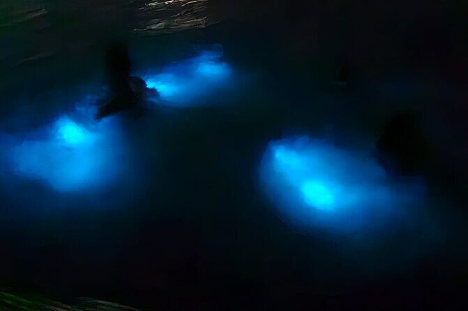 Luminous Lagoon Night Tour and Swim/Fire Dance from Montego Bay - Introduction