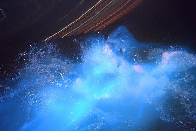 Luminous Lagoon Night Tour from Ocho Rios - Authentic Feedback from Travelers